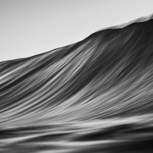 Mares Dourada #8736